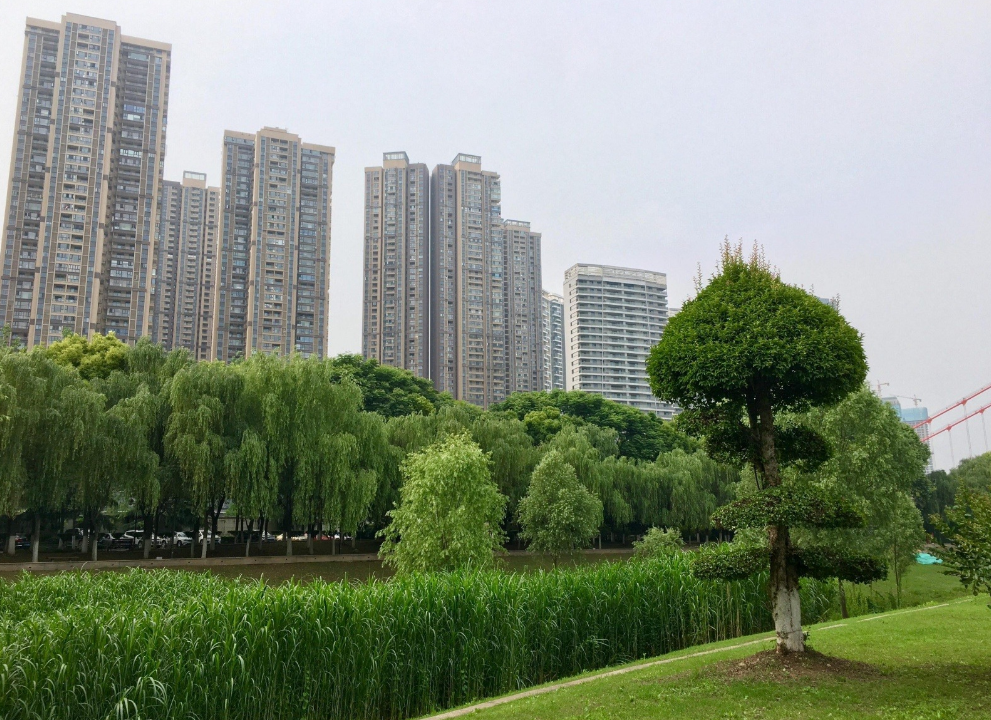 在武汉经常去汉口江滩最多，看看汉阳的江滩如何？