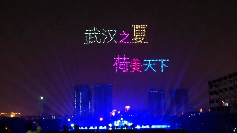 2019武汉荷花节梦幻全城为期两个月